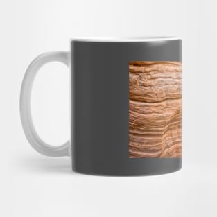 Lick Wash Trail Hike Mug